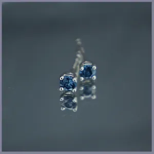 RSJ286 Blue Sapphire Earrings